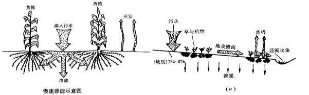 土地處理系統 土地處理系統